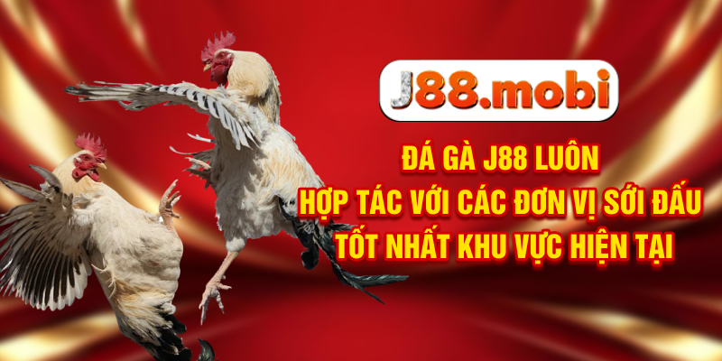 Đá gà J88 luôn hợp tác với các đơn vị sới đấu tốt nhất khu vực hiện tại