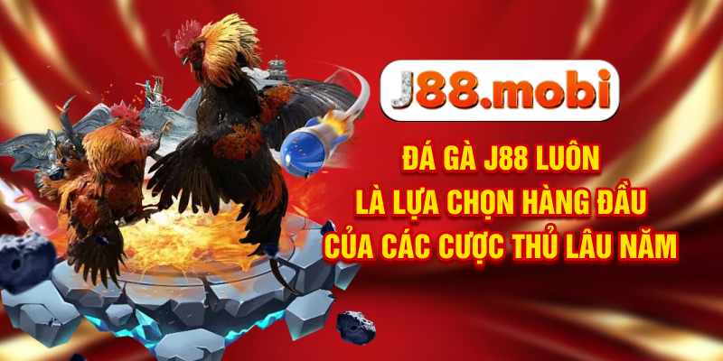 Đá gà J88 luôn là lựa chọn hàng đầu của các cược thủ lâu năm